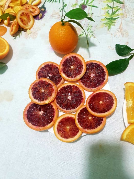 Кровавый Апельсин кучатлари сотилади