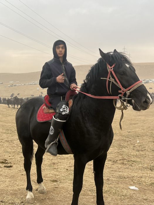 Ot 1ta uloqa chopadi