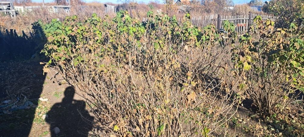 Продам дачный участок