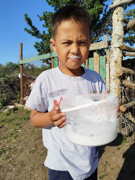 Продаётся козье молоко