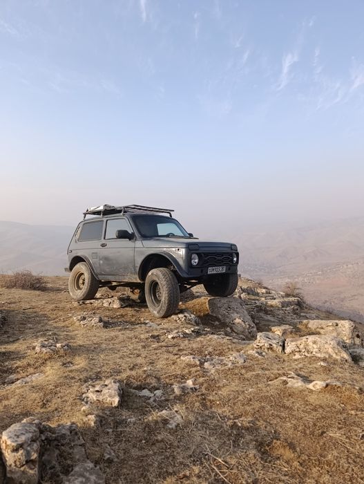 Нива (готовый проект)