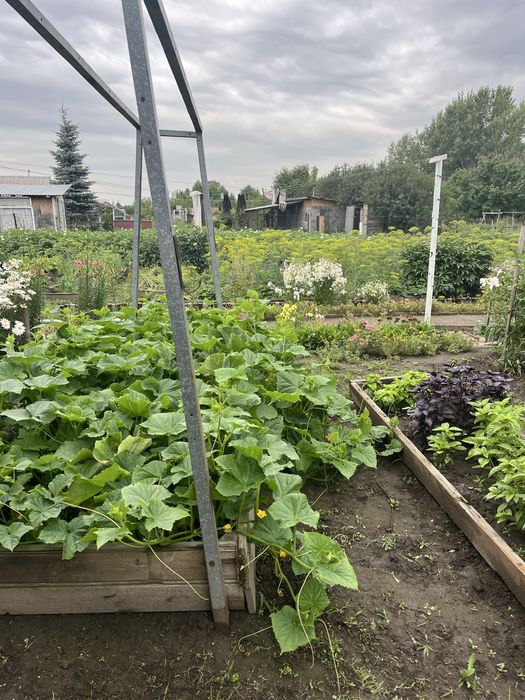 Продам дачу в районе Ахмирово