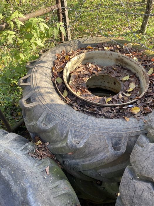 Caucicuri si jante de diferite marimi