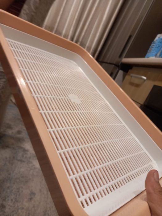 Лоток для котят 2000₸