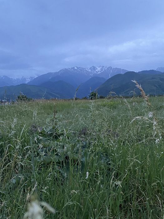 Продам землю 37 соток к/х