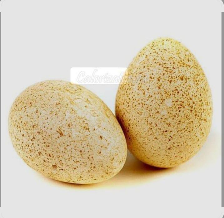 Продается яйцо индейки