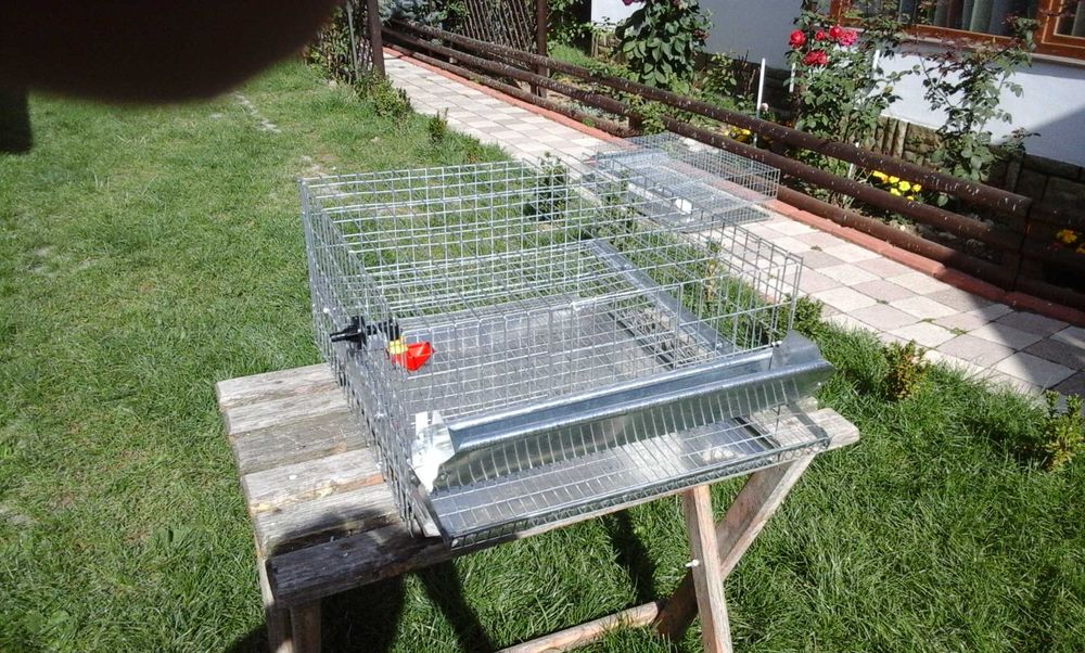 Cusca, custi pentru 25 si 50 prepelite