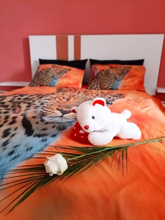 Regim hotelier Deva