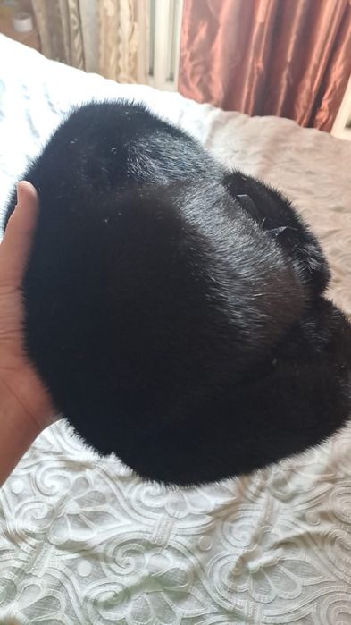 Шапка-ушанка норковая