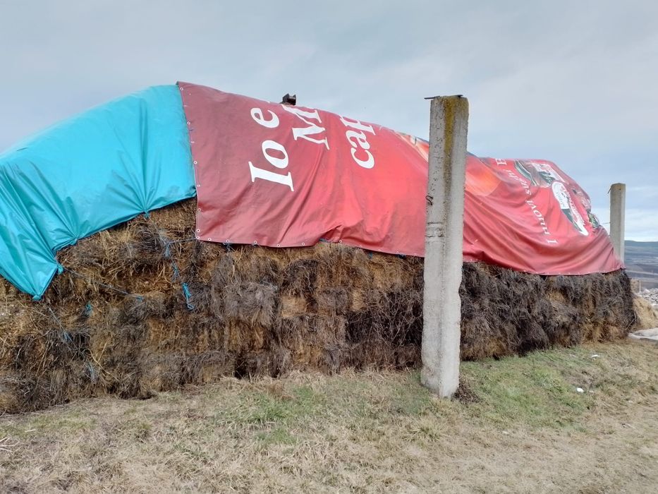 Baloti de fân cu lucernă