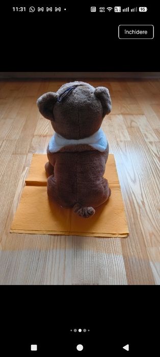 Caine din plus( buldog)