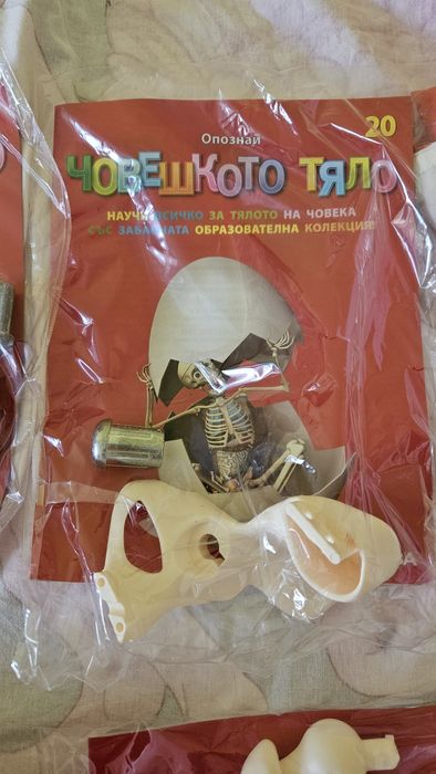 Опознай човешкото тяло