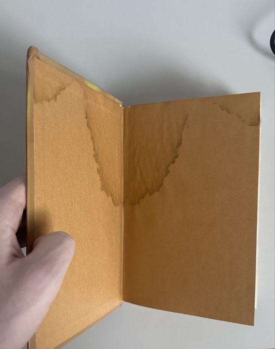 Дневник Тернера