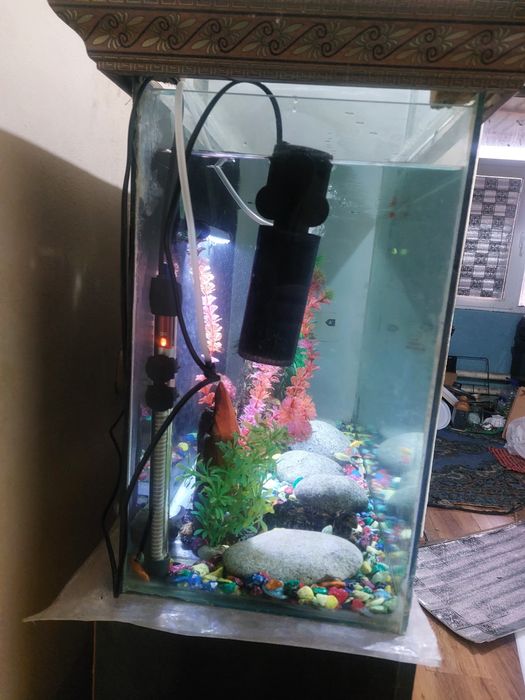 Аквариум комплект+мебел билан сотилади, баликлари ва хамма аппаратлари