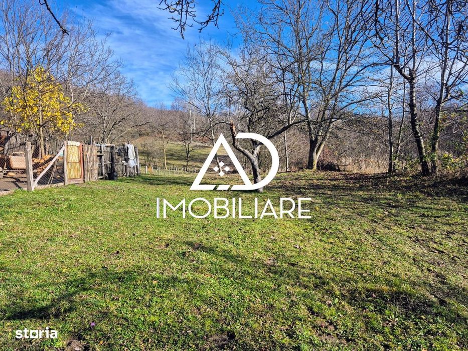 Proprietate de vanzare în  Sat Cernișoara, Județ Vâlcea