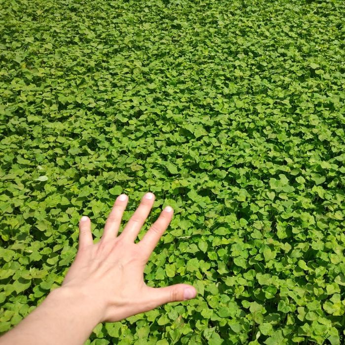 Посевной комплекс PARTNER-9.0