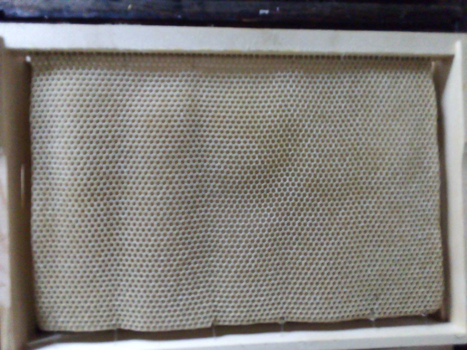 Изградени пчелни пити-празни и пълни с мед.Ценрофуга