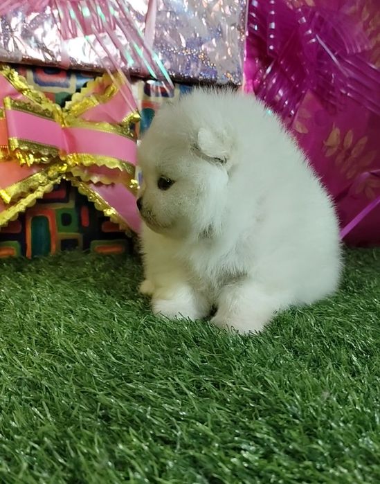 Сссупппер девочка