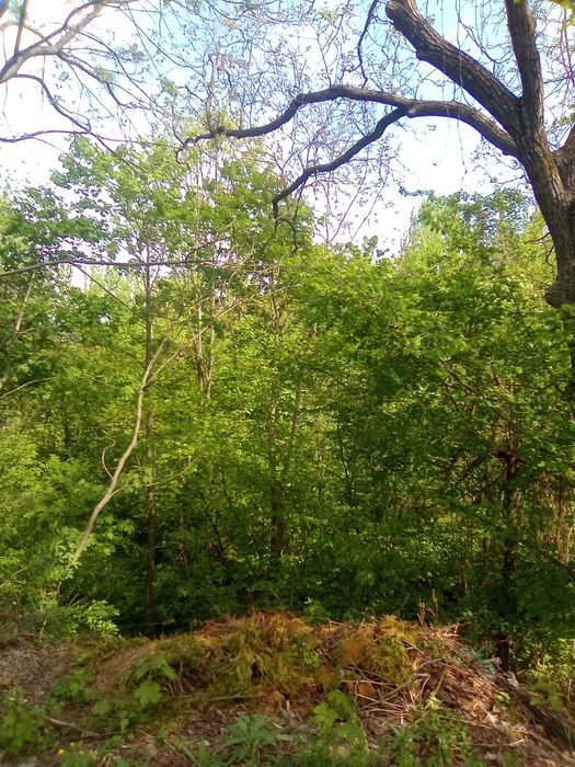 Teren intravilan Breaza