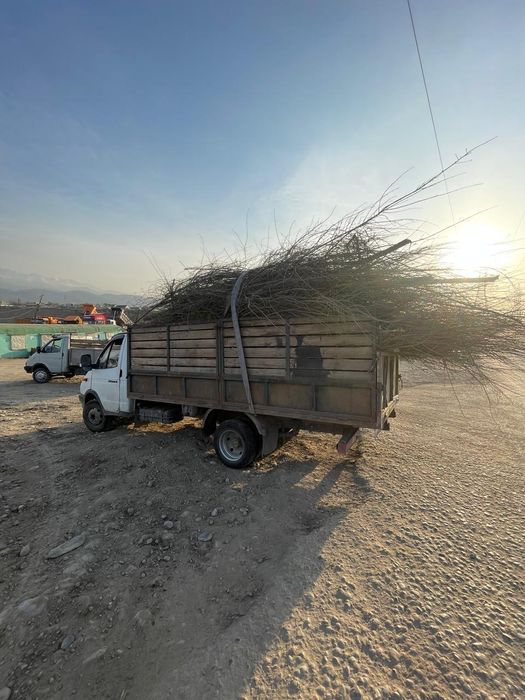 Вывод мусор строительный