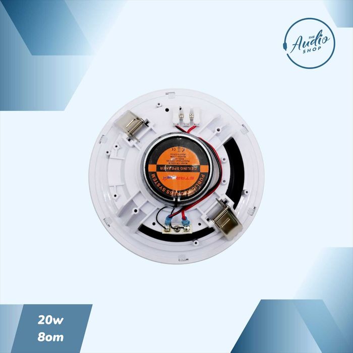 Пассивная потолочная колонка для фоновой музыки 20wat