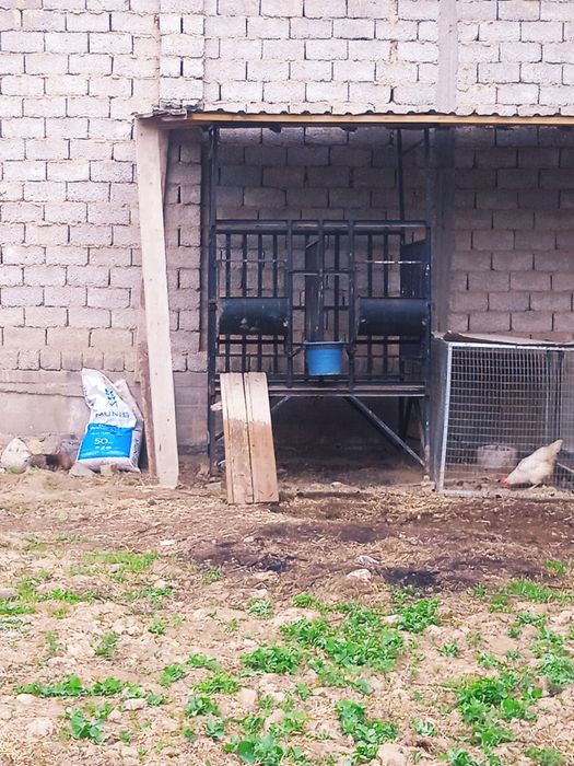 Qoʻyxonalar sotiladi manzil Toshkentda Xasanboyda