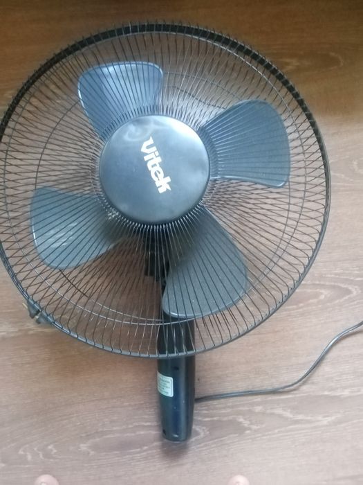 Vitelator sotiladi