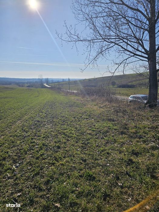 Teren intravilan Cetariu 1500 mp