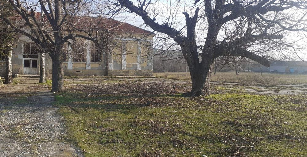 Продавам дърво Орех