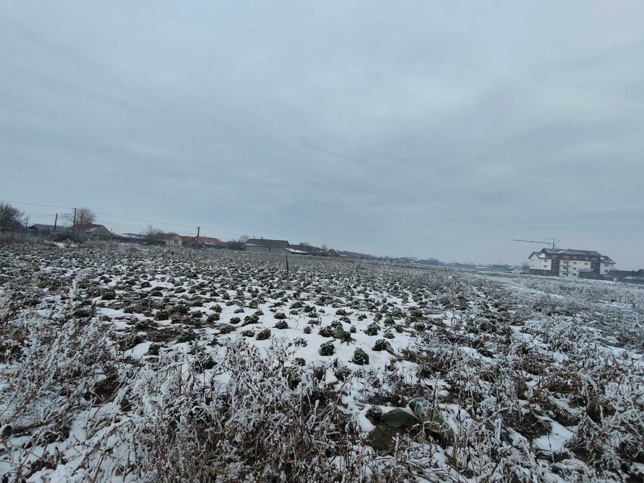 Vânzare teren intravilan