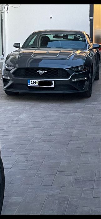 Vand Mustang 2.3