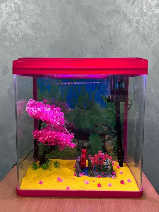 аквариумы новые сборе