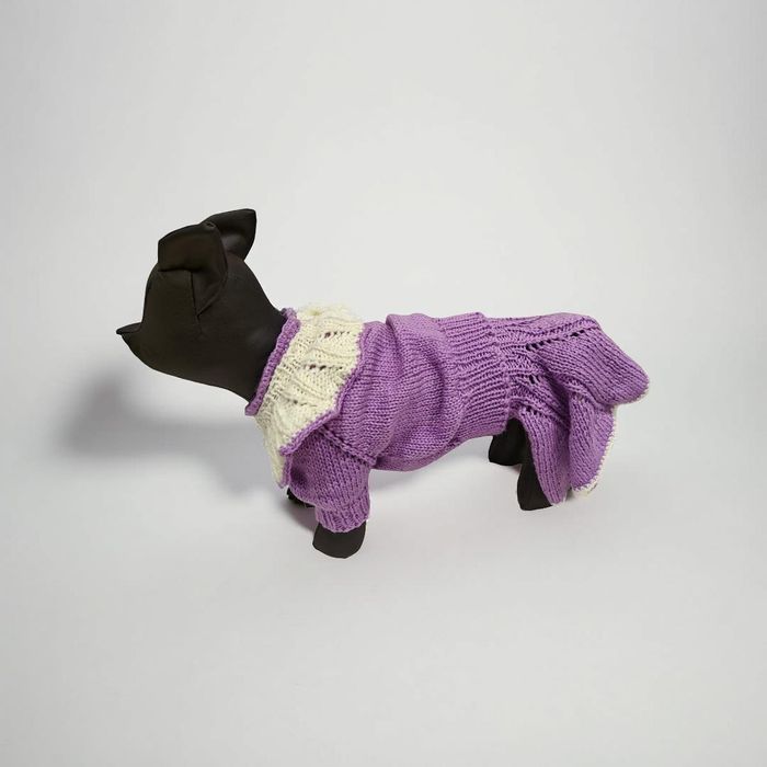 Одежда для собак