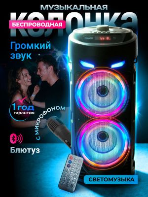 Колонка портативная