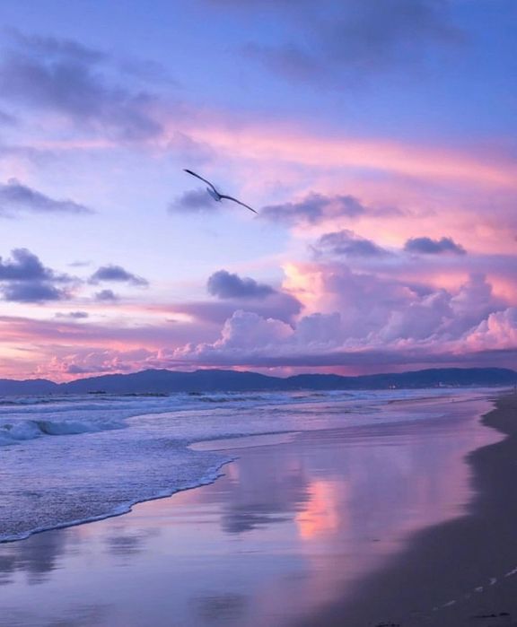 Канадага виза олиш ҳизмати