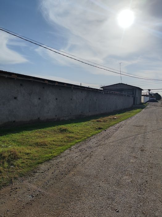 Продаётся срочно ферма не далеко от Ташкента.