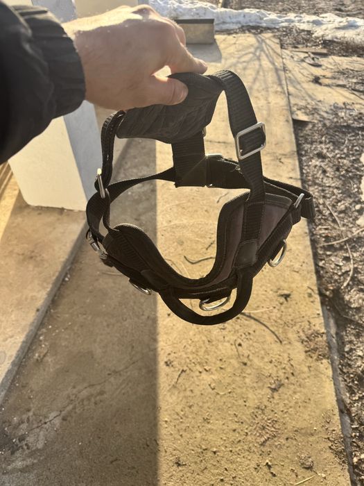 Шлейка для собак.