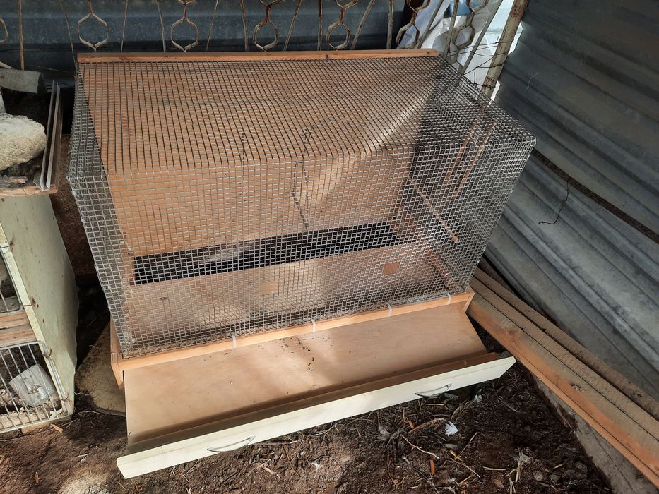 Клетка для птиц и домашних потомцев