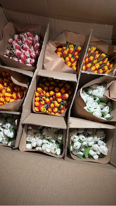 Тюльпаны на 8 марта