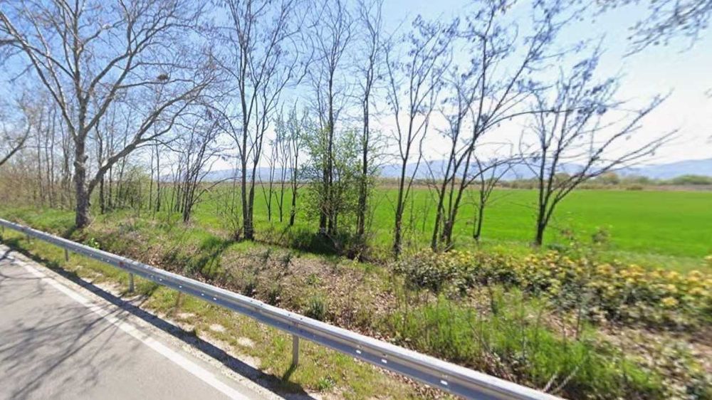 Продава се Парцел в с. Цалапица, Област Пловдив - 9900 кв.м за 13 €/кв.м - Снимка #5