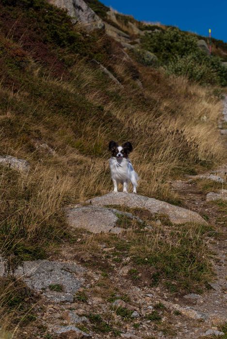 Дрон + Фотография / Видеография – Варна.