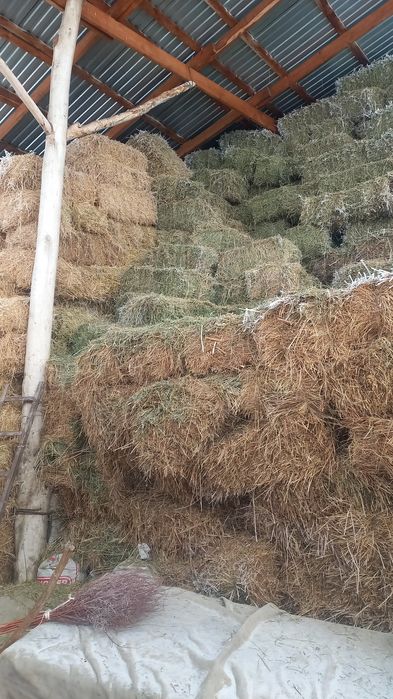 Продам люцерну и  салому