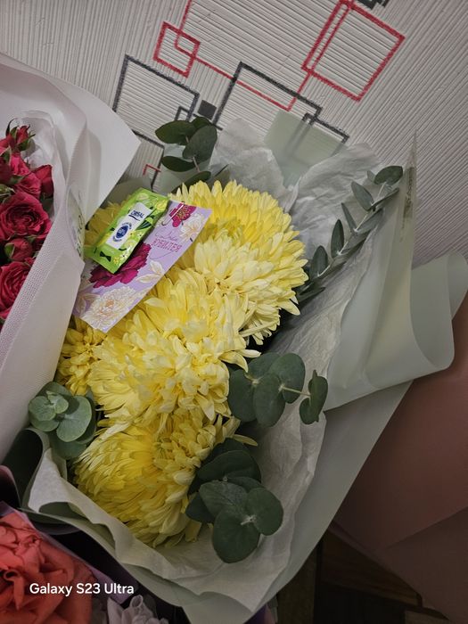 Продам цветы не дорого!