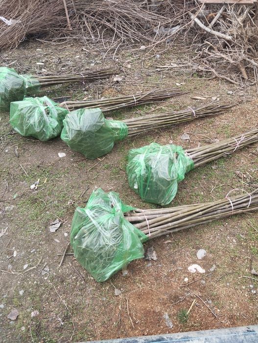 Енг арзони ва сифатлиси бизда..танлов у́з ку́лингизда