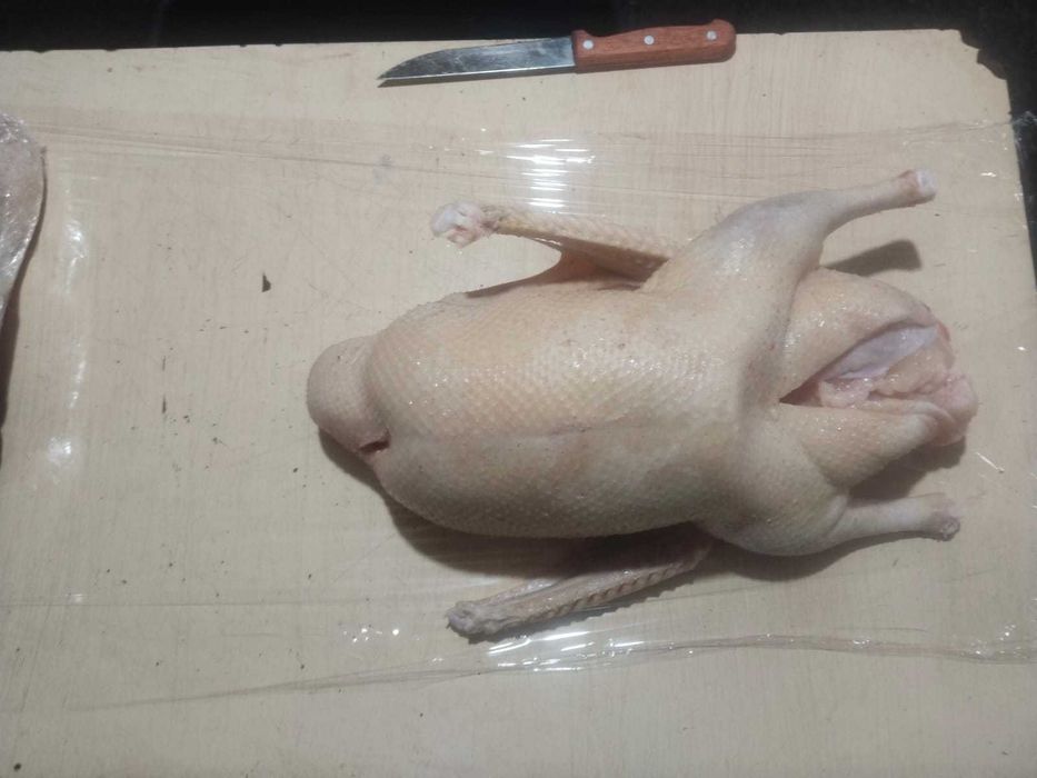 Продам гусей север