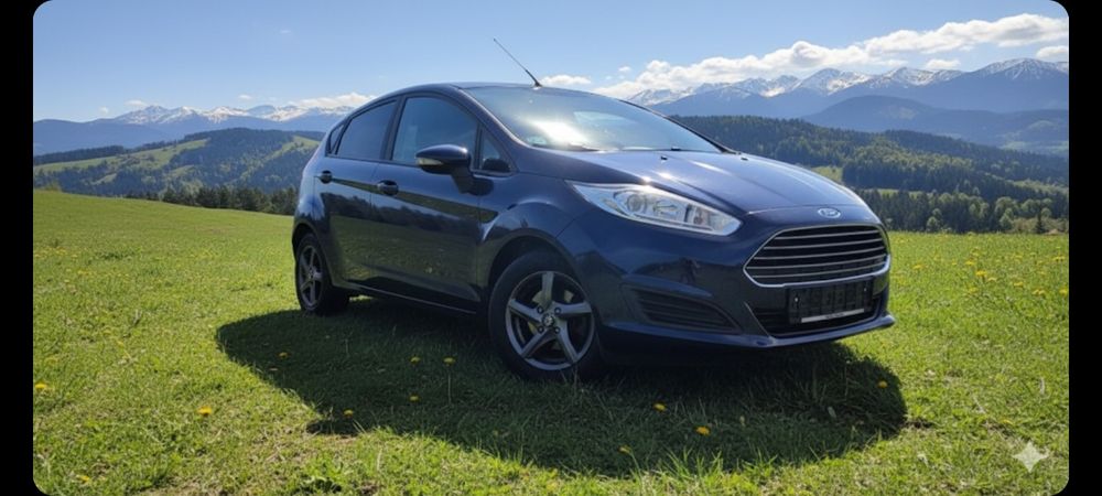 Ford fiesta 1.6tdci
