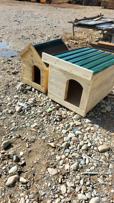 Бутка  дла  сабака