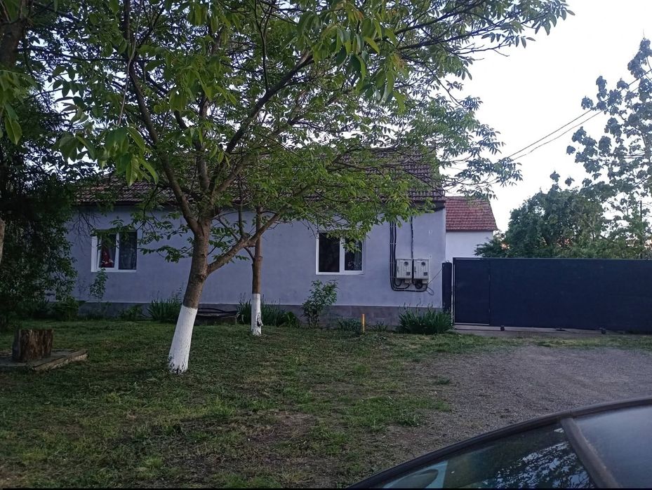 Casa de vânzare Aluniș Arad