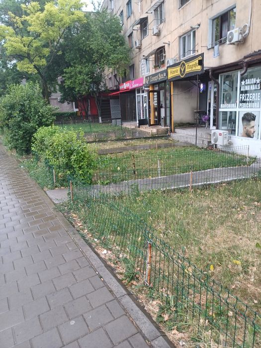 Spatiu comercial vad bun Bulevardul  Nicolae Iorga