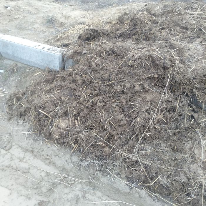 Шөп  пен  малдың тезегі